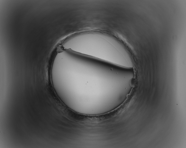 X0000092011214200710041019