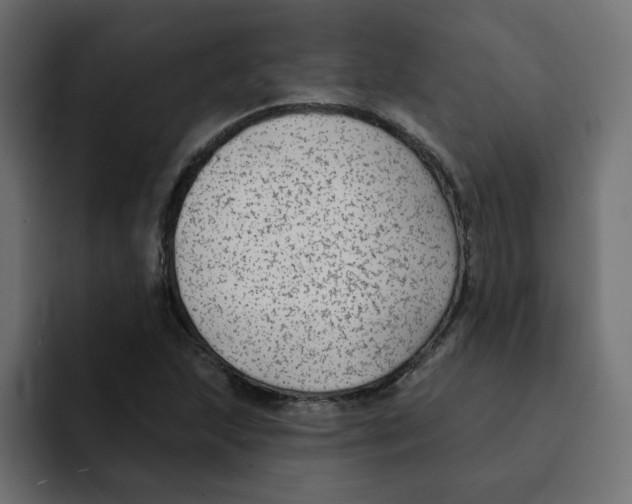 X0000092011215200710041019