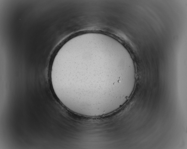 X0000092011216200710041019