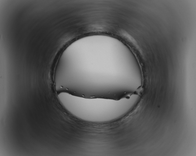 X0000092011218200710041019