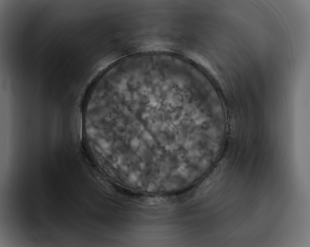 X0000092011219200710041019