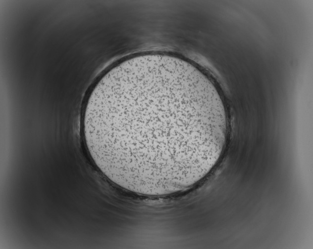 X0000092011220200710041019