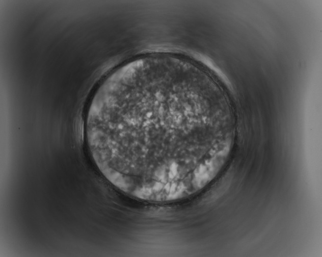 X0000092011221200710041019