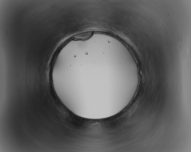 X0000092011222200710041019