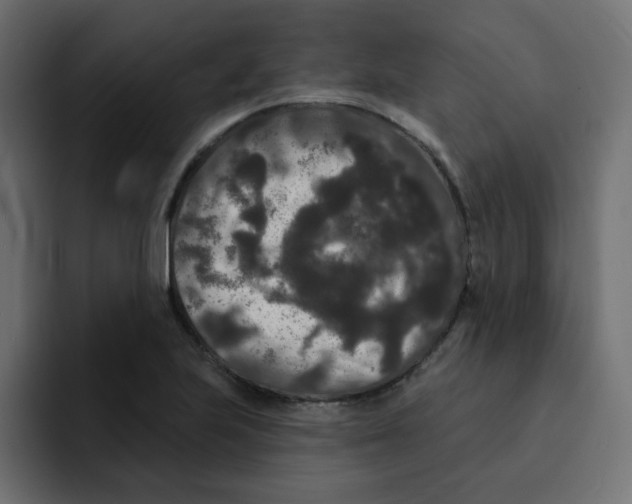 X0000092011223200710041019