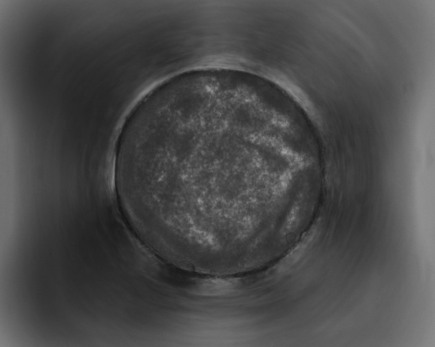 X0000092011224200710041019