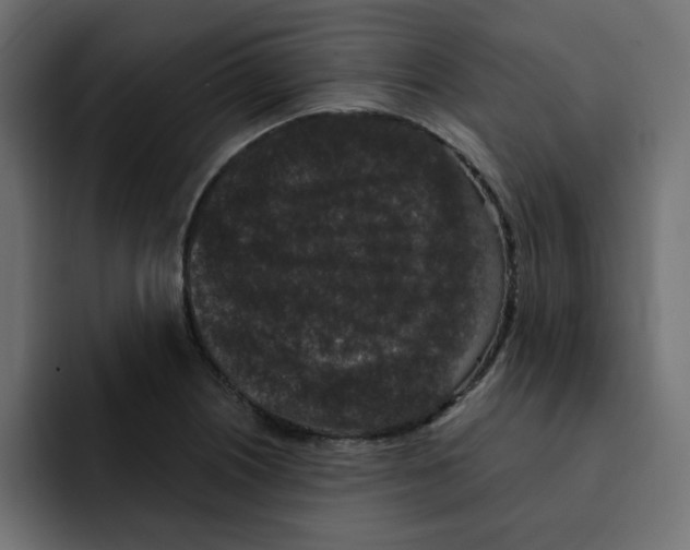 X0000092011226200710041019