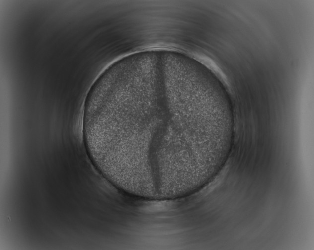 X0000092011228200710041019