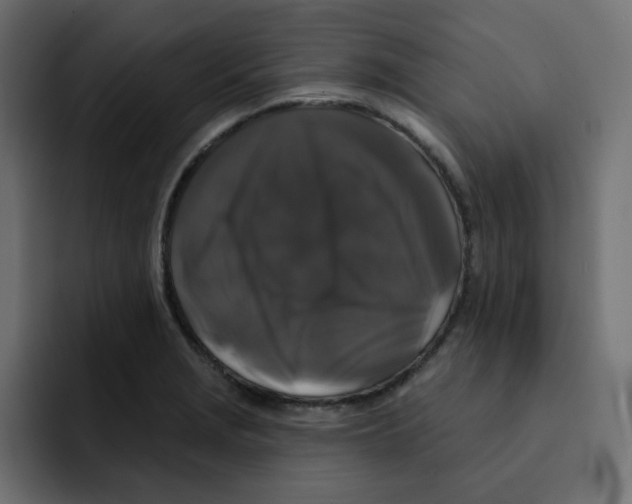 X0000092011229200710041019