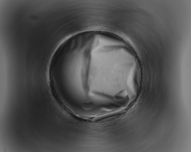 X0000092011230200710041019