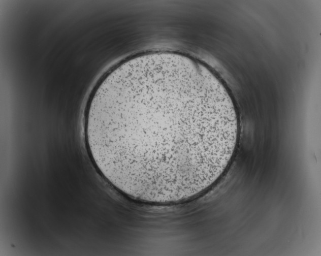 X0000092011232200710041019