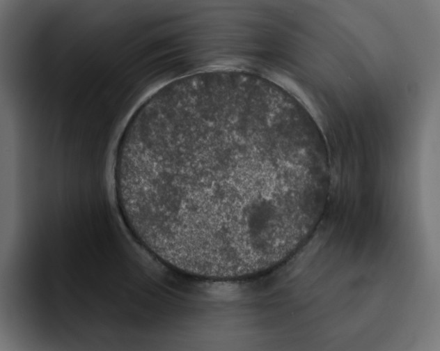 X0000092011235200710041020