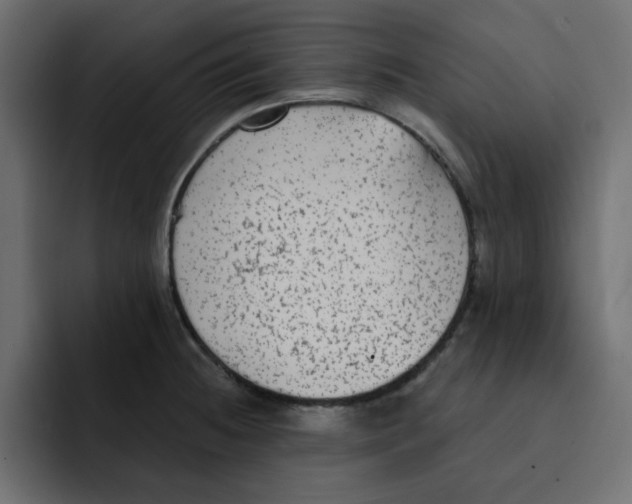 X0000092011236200710041020
