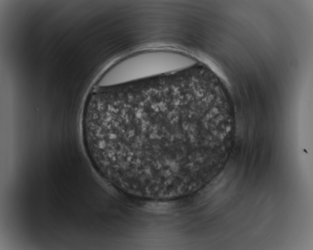 X0000092011237200710041020