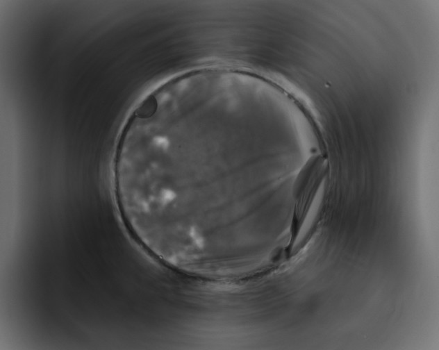 X0000092011239200710041020