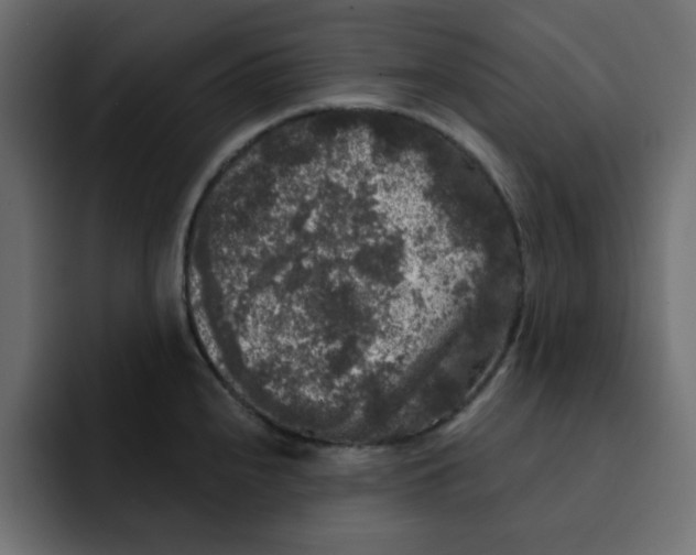 X0000092011240200710041020