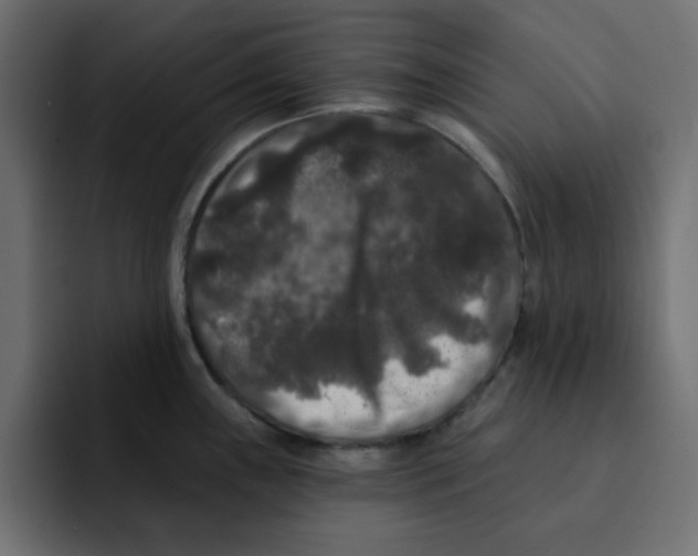 X0000092011243200710041020