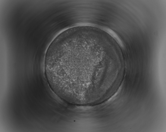 X0000092011244200710041020