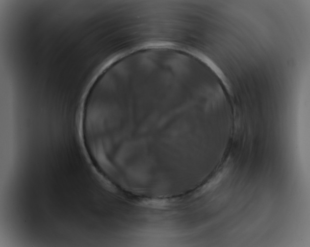 X0000092011245200710041020