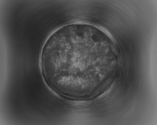 X0000092011247200710041020