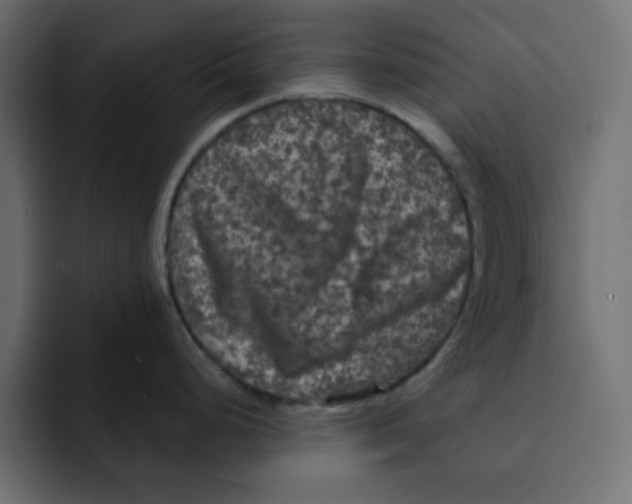 X0000092011248200710041020