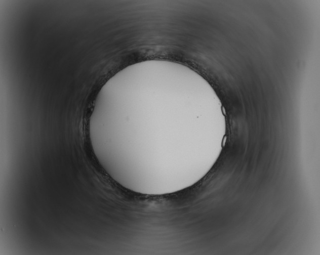 X0000092011250200710041019