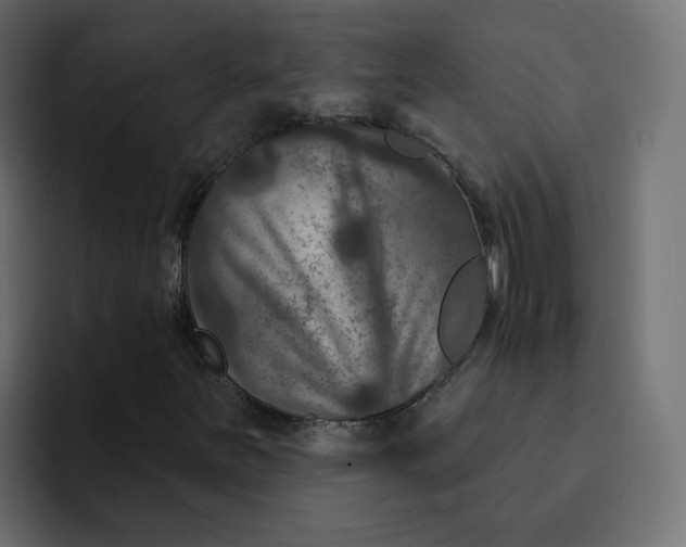 X0000092011251200710041019