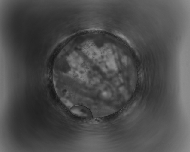 X0000092011255200710041019