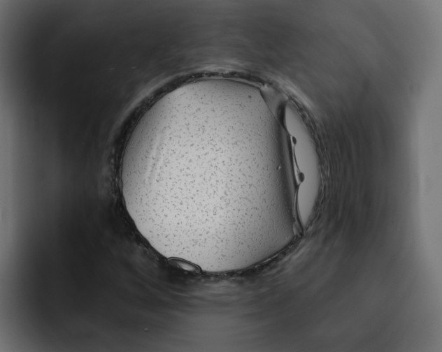 X0000092011256200710041019