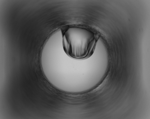 X0000092011257200710041019