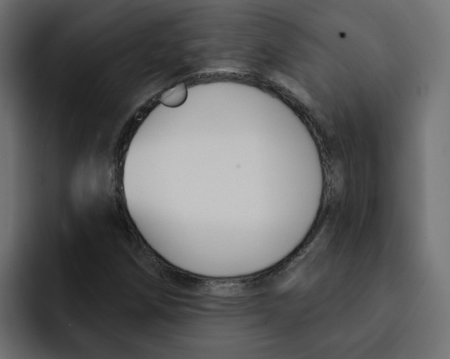 X0000092011258200710041019