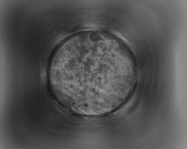 X0000092011259200710041019