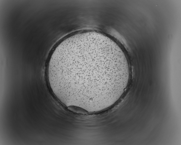 X0000092011260200710041019