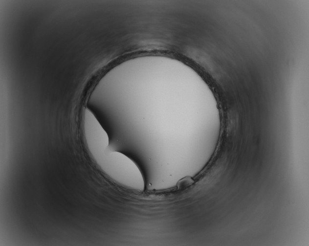 X0000092011261200710041019