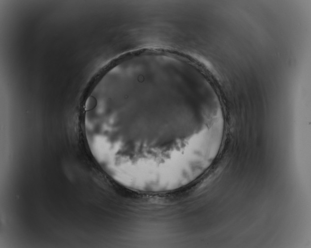 X0000092011263200710041019