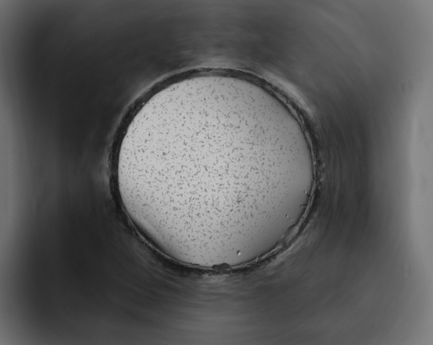 X0000092011264200710041019