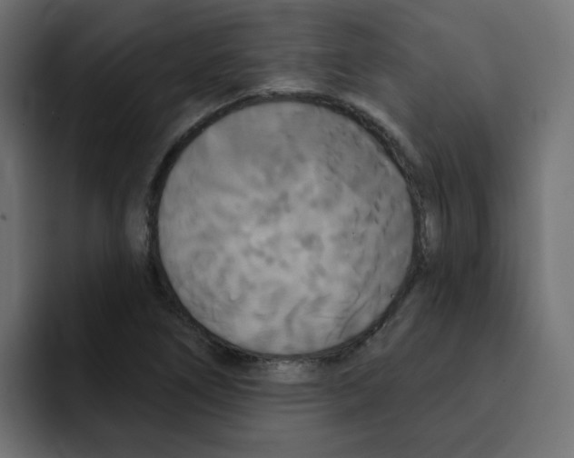 X0000092011266200710041019