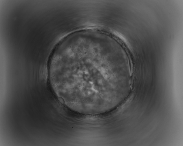 X0000092011267200710041019