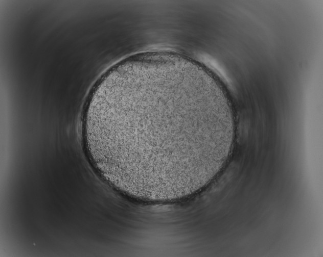 X0000092011268200710041019