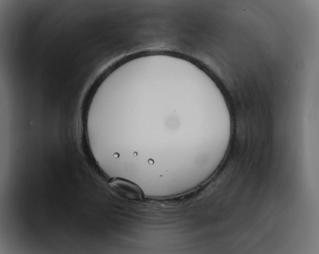 X0000092011270200710041019