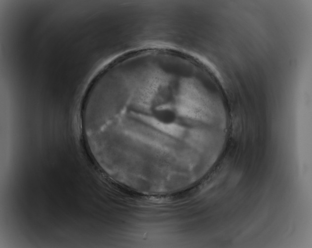 X0000092011271200710041019