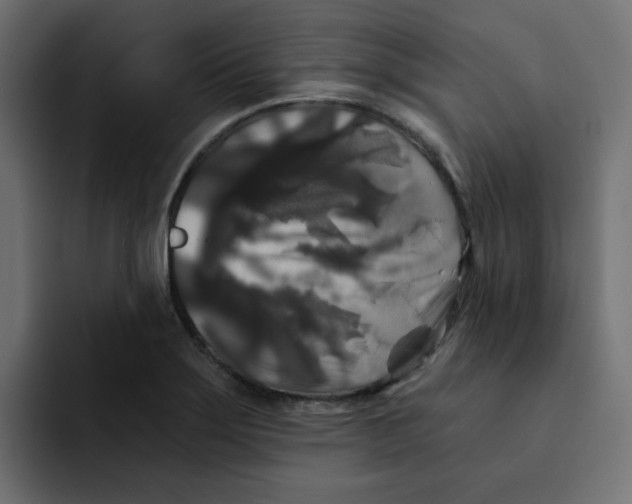 X0000092011275200710041019