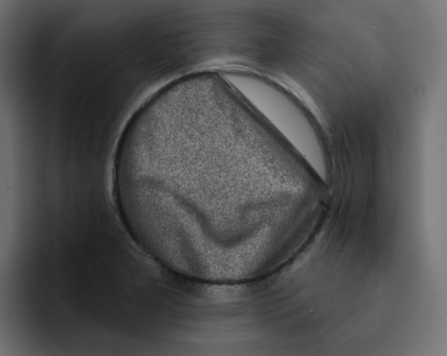 X0000092011277200710041019