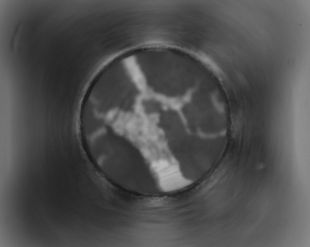 X0000092011279200710041019