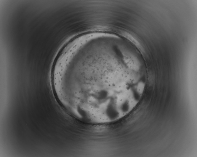 X0000092011283200710041019