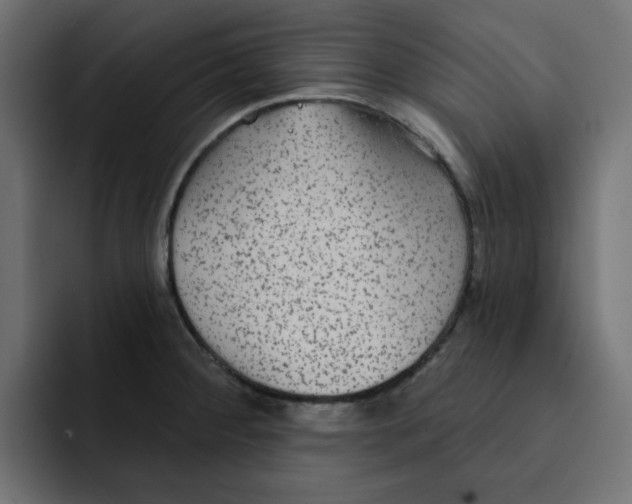 X0000092011284200710041019