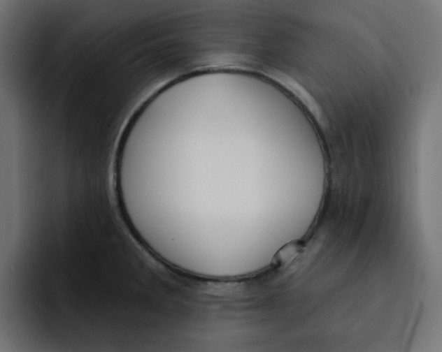 X0000092011285200710041019