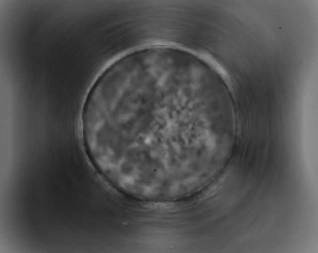 X0000092011287200710041019