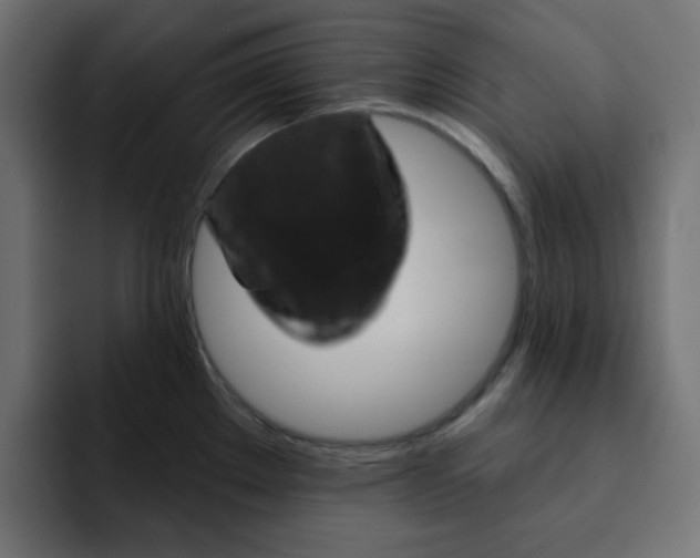 X0000092011289200710041019
