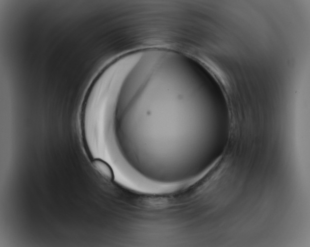 X0000092011291200710041019